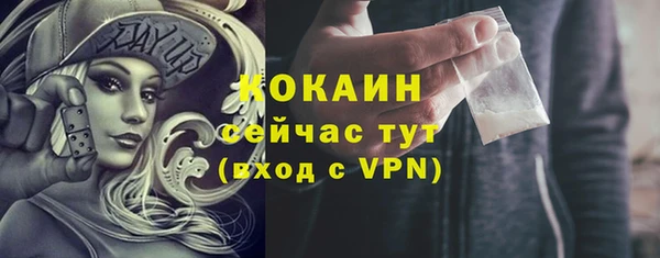стафф Алексин