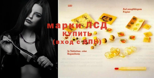 прущие грибы Абинск