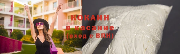 прущие грибы Абинск