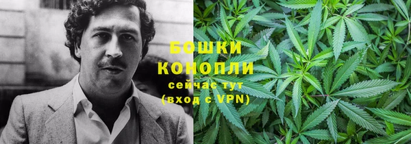 прущие грибы Абинск