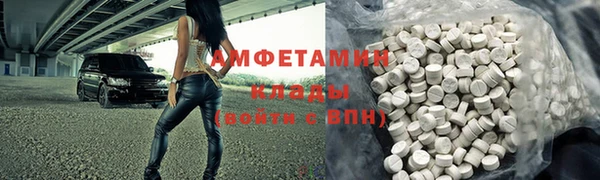 прущие грибы Абинск